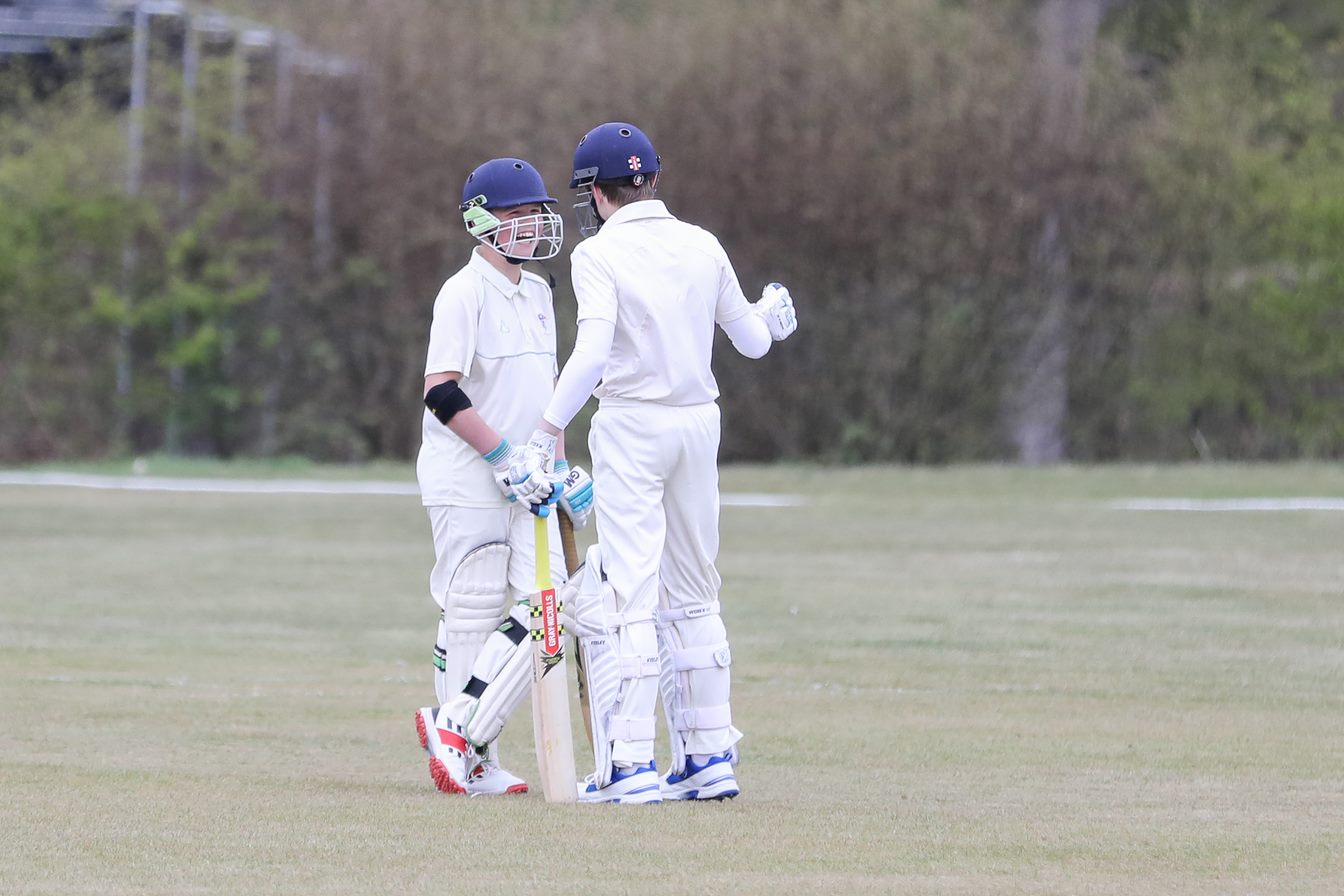 U12 Cricket